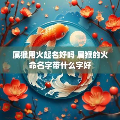 属猴用火起名好吗 属猴的火命名字带什么字好