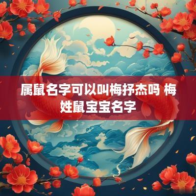 属鼠名字可以叫梅抒杰吗 梅姓鼠宝宝名字