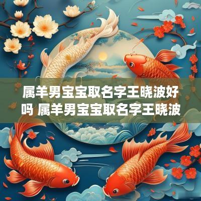属羊男宝宝取名字王晓波好吗 属羊男宝宝取名字王晓波好吗