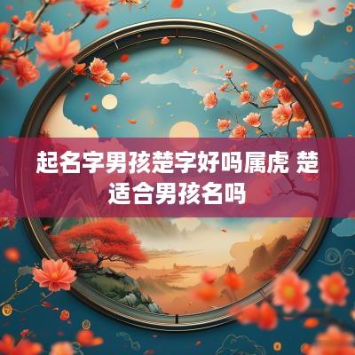 起名字男孩楚字好吗属虎 楚适合男孩名吗