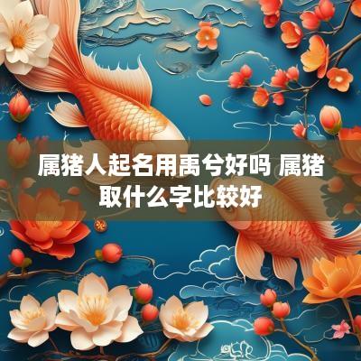 属猪人起名用禹兮好吗 属猪取什么字比较好
