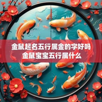 金鼠起名五行属金的字好吗 金鼠宝宝五行属什么