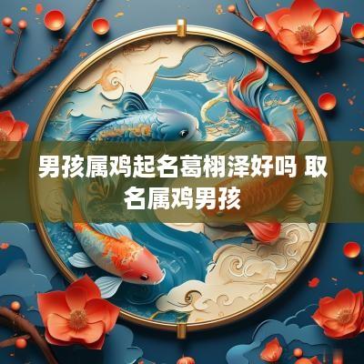 男孩属鸡起名葛栩泽好吗 取名属鸡男孩
