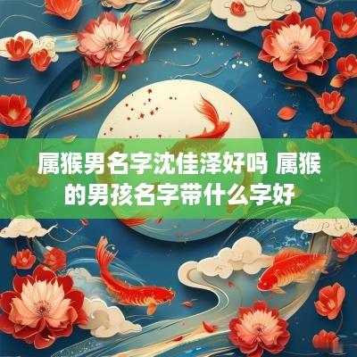 属猴男名字沈佳泽好吗 属猴的男孩名字带什么字好