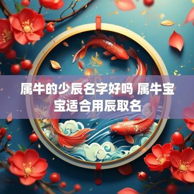 属牛的少辰名字好吗 属牛宝宝适合用辰取名