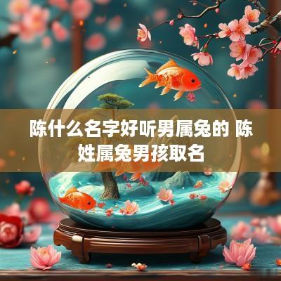 陈什么名字好听男属兔的 陈姓属兔男孩取名