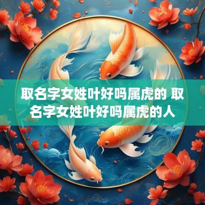 取名字女姓叶好吗属虎的 取名字女姓叶好吗属虎的人