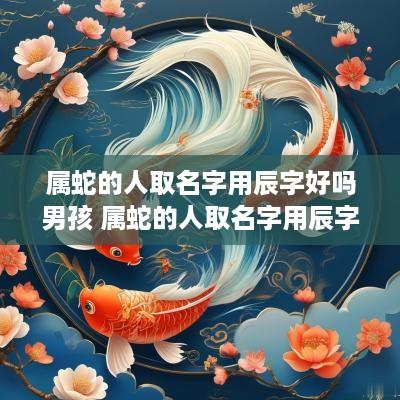 属蛇的人取名字用辰字好吗男孩 属蛇的人取名字用辰字好吗男孩子
