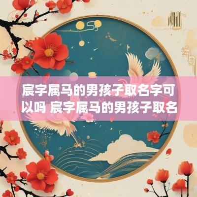 宸字属马的男孩子取名字可以吗 宸字属马的男孩子取名字可以吗