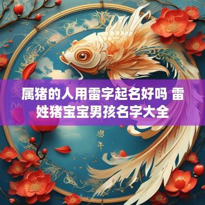 属猪的人用雷字起名好吗 雷姓猪宝宝男孩名字大全