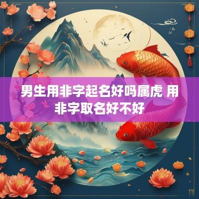 男生用非字起名好吗属虎 用非字取名好不好