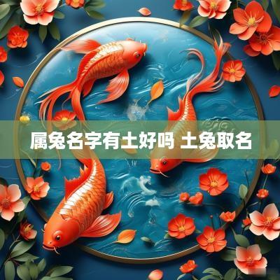属兔名字有土好吗 土兔取名