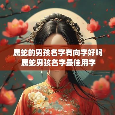 属蛇的男孩名字有向字好吗 属蛇男孩名字最佳用字