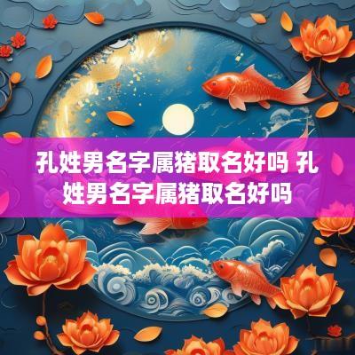 孔姓男名字属猪取名好吗 孔姓男名字属猪取名好吗