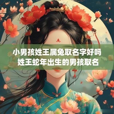 小男孩姓王属兔取名字好吗 姓王蛇年出生的男孩取名