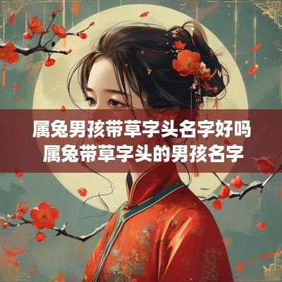 属兔男孩带草字头名字好吗 属兔带草字头的男孩名字