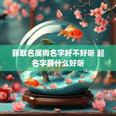 薛取名属狗名字好不好听 起名字薛什么好听