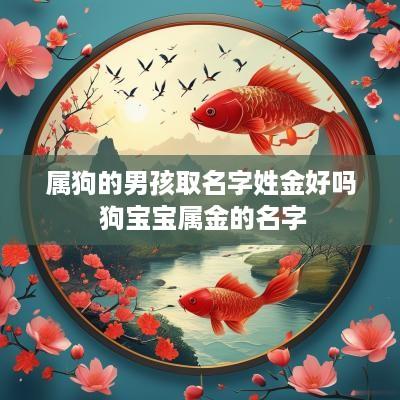 属狗的男孩取名字姓金好吗 狗宝宝属金的名字
