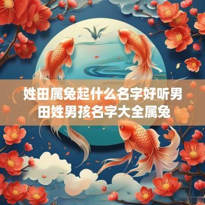 姓田属兔起什么名字好听男 田姓男孩名字大全属兔