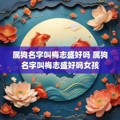 属狗名字叫梅志盛好吗 属狗名字叫梅志盛好吗女孩