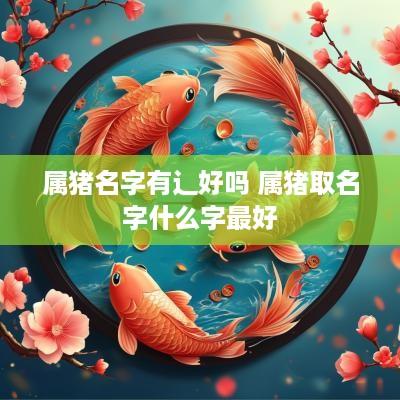 属猪名字有辶好吗 属猪取名字什么字最好