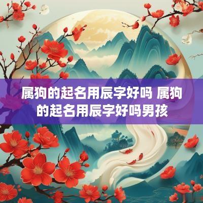 属狗的起名用辰字好吗 属狗的起名用辰字好吗男孩