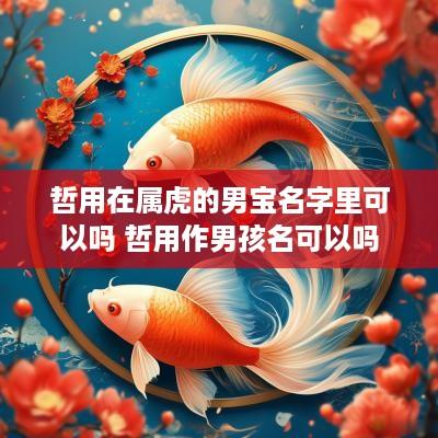 哲用在属虎的男宝名字里可以吗 哲用作男孩名可以吗