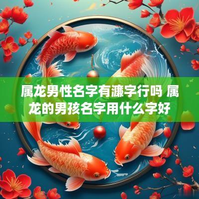 属龙男性名字有濂字行吗 属龙的男孩名字用什么字好
