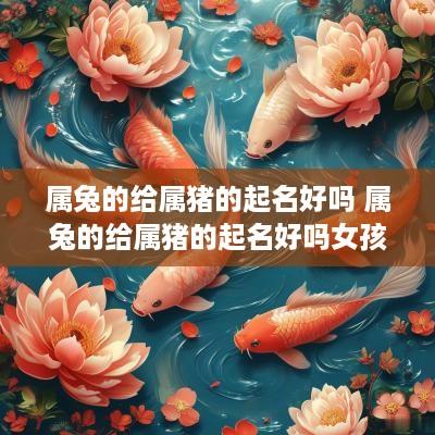属兔的给属猪的起名好吗 属兔的给属猪的起名好吗女孩