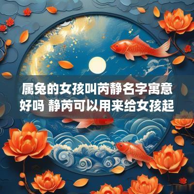 属兔的女孩叫芮静名字寓意好吗 静芮可以用来给女孩起名吗