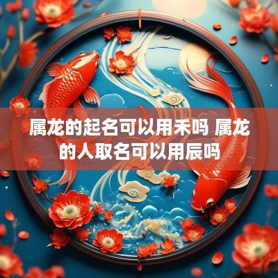 属龙的起名可以用禾吗 属龙的人取名可以用辰吗