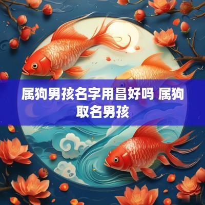 属狗男孩名字用昌好吗 属狗取名男孩