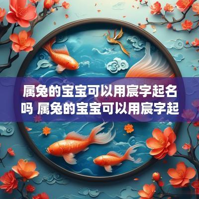 属兔的宝宝可以用宸字起名吗 属兔的宝宝可以用宸字起名吗女孩