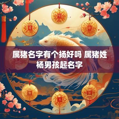 属猪名字有个扬好吗 属猪姓杨男孩起名字