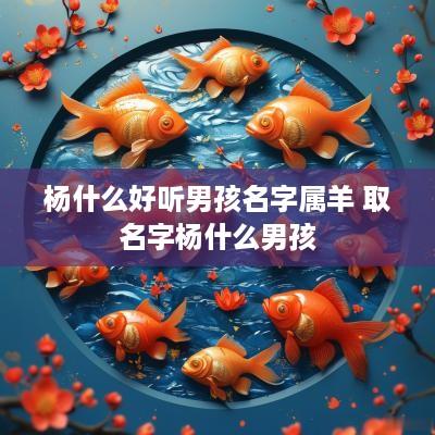 杨什么好听男孩名字属羊 取名字杨什么男孩