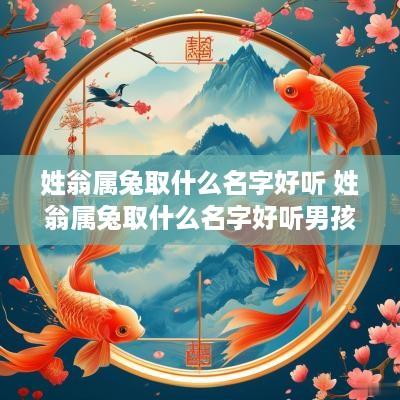 姓翁属兔取什么名字好听 姓翁属兔取什么名字好听男孩