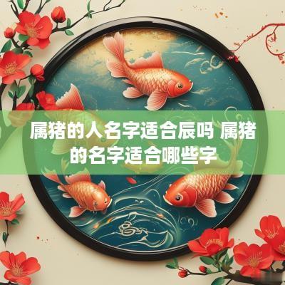 属猪的人名字适合辰吗 属猪的名字适合哪些字
