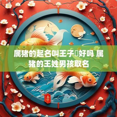 属猪的起名叫王子喆好吗 属猪的王姓男孩取名