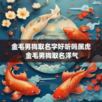 金毛男狗取名字好听吗属虎 金毛男狗取名洋气 金毛男狗取名字好听吗属虎 金毛男狗取名洋气