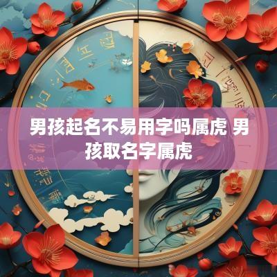 男孩起名不易用字吗属虎 男孩取名字属虎