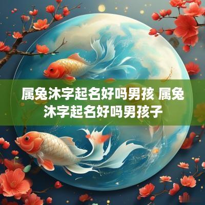 属兔沐字起名好吗男孩 属兔沐字起名好吗男孩子