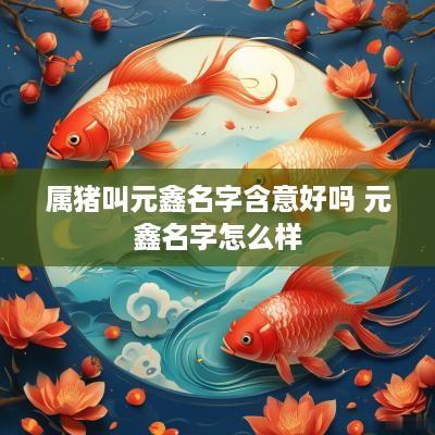 属猪叫元鑫名字含意好吗 元鑫名字怎么样