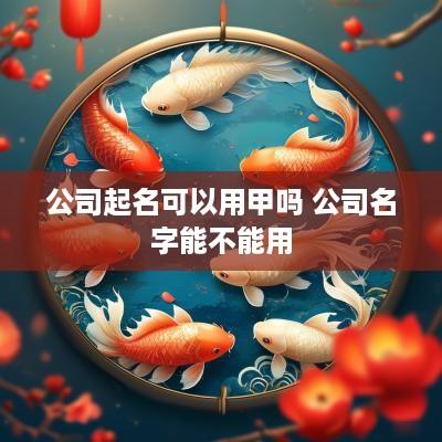 公司起名可以用甲吗 公司名字能不能用