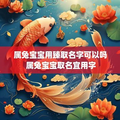 属兔宝宝用臻取名字可以吗 属兔宝宝取名宜用字