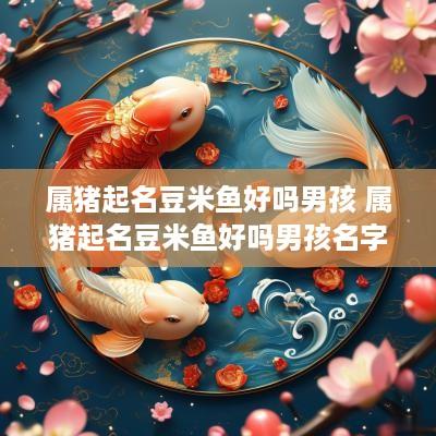 属猪起名豆米鱼好吗男孩 属猪起名豆米鱼好吗男孩名字