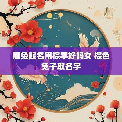 属兔起名用棕字好吗女 棕色兔子取名字