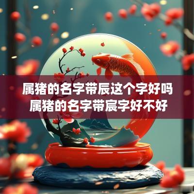属猪的名字带辰这个字好吗 属猪的名字带宸字好不好