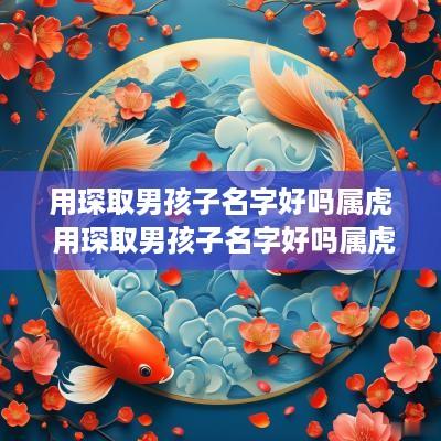 用琛取男孩子名字好吗属虎 用琛取男孩子名字好吗属虎的