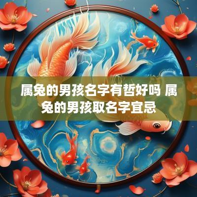 属兔的男孩名字有哲好吗 属兔的男孩取名字宜忌