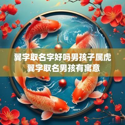 翼字取名字好吗男孩子属虎 翼字取名男孩有寓意